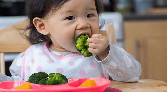 Apakah Pola Makan Vegetarian Aman untuk Bayi? Apakah Pola Makan Vegetarian Aman untuk Bayi?