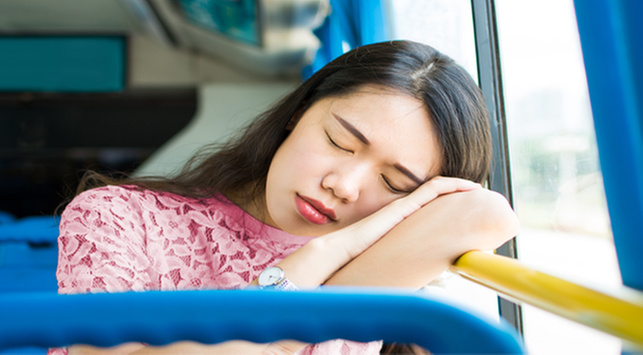 Tidur di perjalanan, Mudik Tidur di perjalanan, Mudik