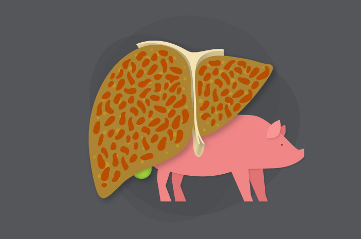 Risiko yang Bisa Ditimbulkan oleh Hepatitis E Risiko yang Bisa Ditimbulkan oleh Hepatitis E